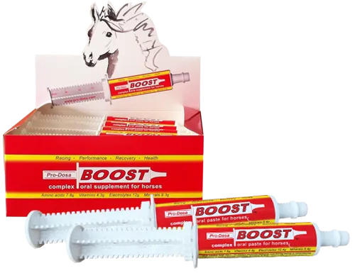 Pro-Dosa Boost Paste Syringe